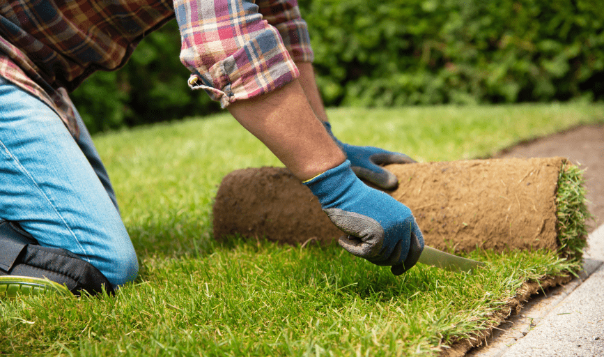 Hamilton Hydroseeding and Lawn Renewal